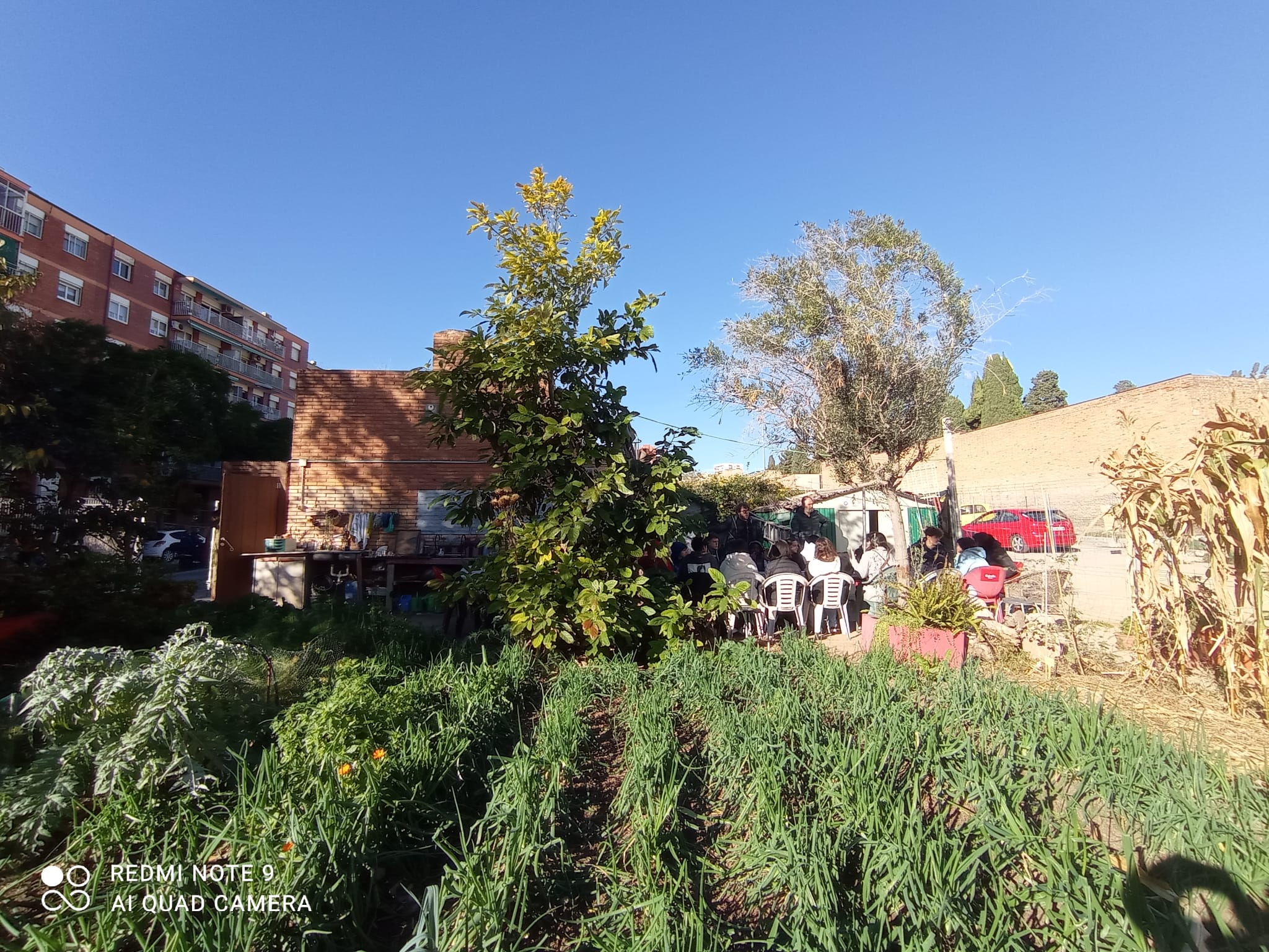 Un huerto con diferentes hortalizas plantadas y al fondo un grupo de gente sentada