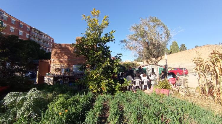 Un huerto con diferentes hortalizas plantadas y al fondo un grupo de gente sentada