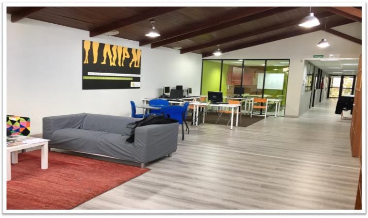 Proyecto Hegan Alt