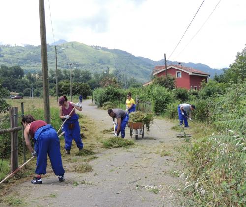 Trabajo medio rural campo de trabajo 2018 Fundación Adsis Asturias