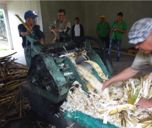 panela equimercado caes piura