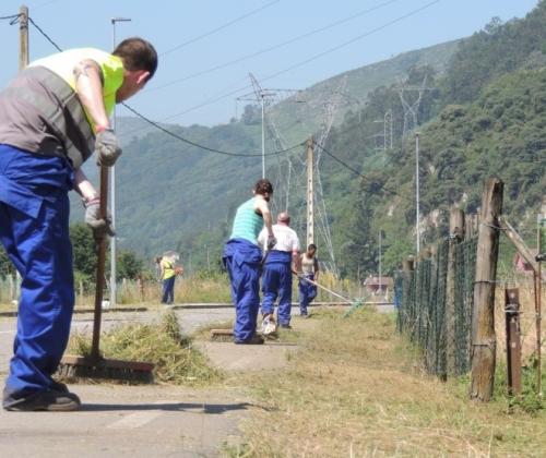 Campo Trabajo Adsis Asturias