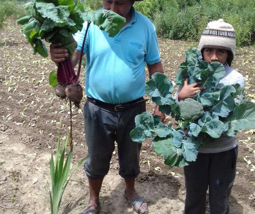 Fundación Adsis Proyecto de Cooperación en Regantes de Cochabamba