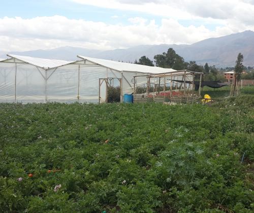 Fundación Adsis Proyecto de Cooperación en Regantes de Cochabamba