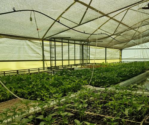 Fundación Adsis Proyecto de Cooperación en Regantes de Cochabamba