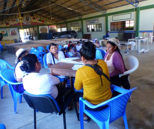 Proyecto de Fundación Adsis en Chimoré